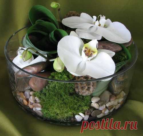 Pinterest: инструмент для поиска и хранения интересных идей