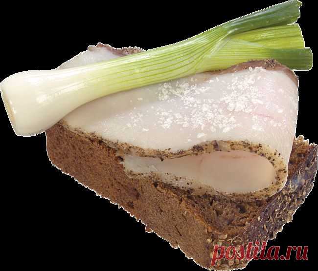 Какие болезни лечатся салом | Четыре вкуса