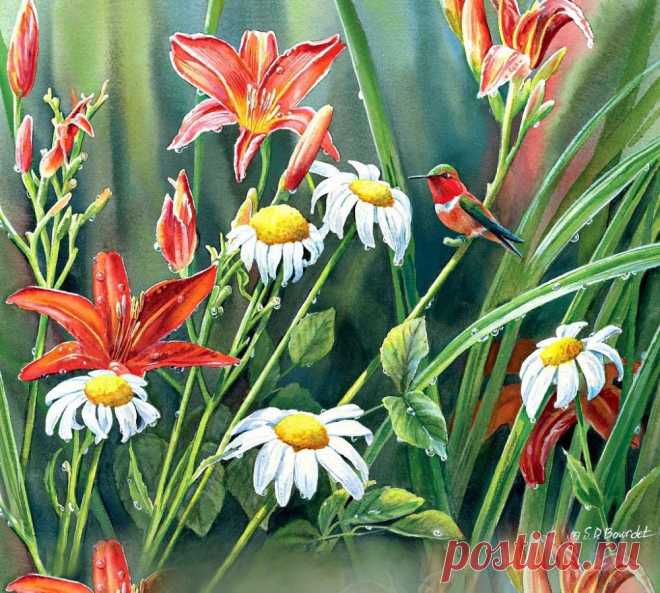 Пенье птиц так завораживает душу... Художница Сьюзен Бордет (Susan Bourdet).