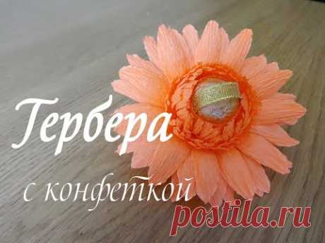 ГЕРБЕРА С КОНФЕТКОЙ