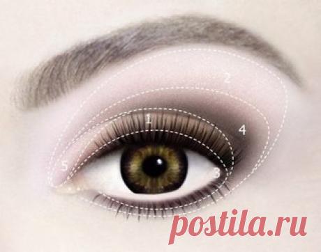 Мои закладки