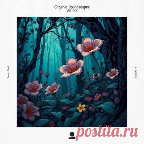 Download VA - Organic Soundscapes, Vol. 001 Label Solar Soul Styles Progressive House, Organic House / Downtempo Date 2024-12-20 Catalog # SSR0018 Length 68:30 Tracks 10