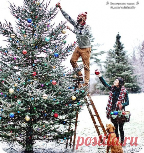 ПРЕЖДЕ ЧЕМ СКАЗАТЬ ЭТО КОМУ-ТО, СКАЖИ ЭТО СЕБЕ 

Сегодня хочу поговорить об общении – супругов между собой, родителей с детьми, просто даже посторонних людей. 

Иногда так тяжело бывает удержаться. Мы срываемся, говорим какие-то вещи, о которых порой даже не жалеем, считая, что мы абсолютно правы. Но такими словами мы очень обижаем близких нам людей.
Показать полностью…