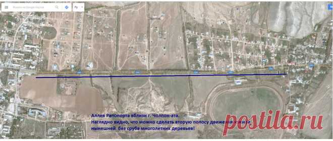 Сариев поручил не вырубать аллею Раппопорта | KLOOP.KG - Новости Кыргызстана