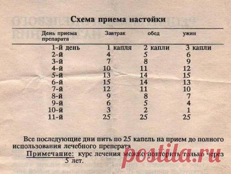(1) Одноклассники