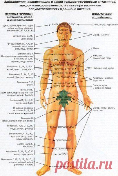 Дневник ессения