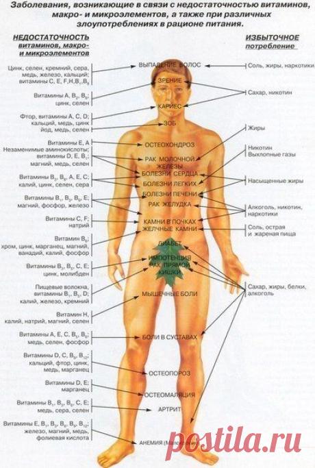 Дневник ессения