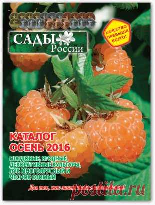 Программа "Наш сад" Сады России видео