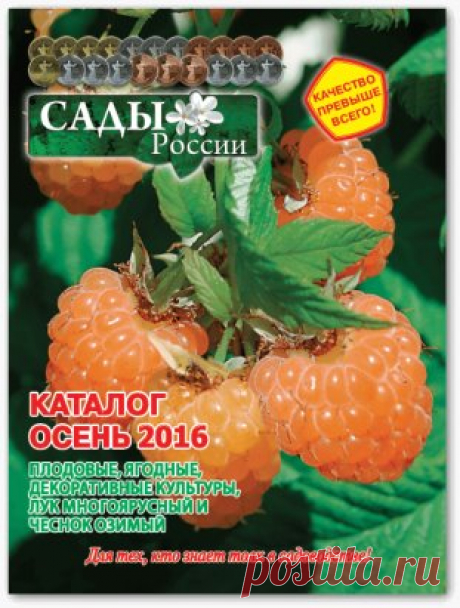 Программа &quot;Наш сад&quot; Сады России видео