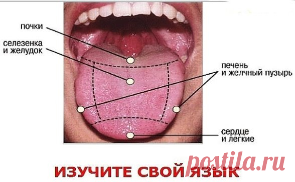 Диагностика по языку