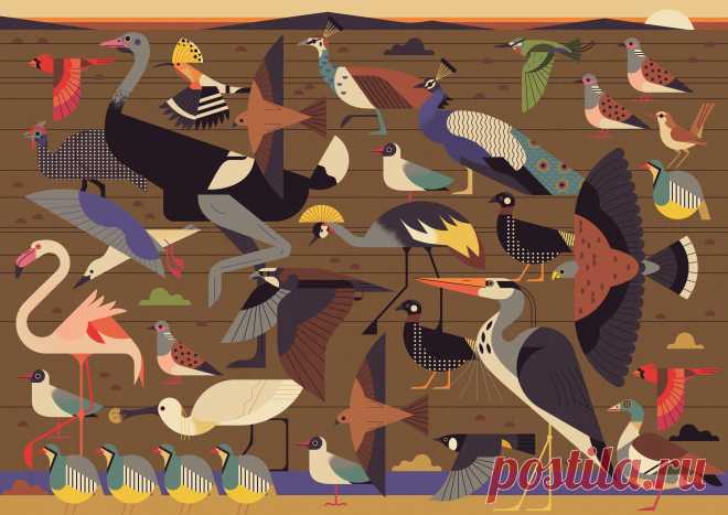 Owen Davey | Folio illustration agency