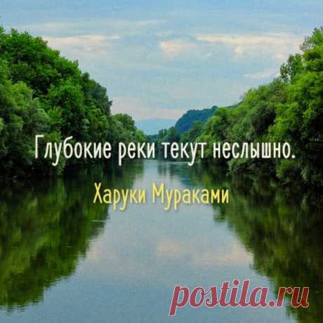 СВОБОДА ✦