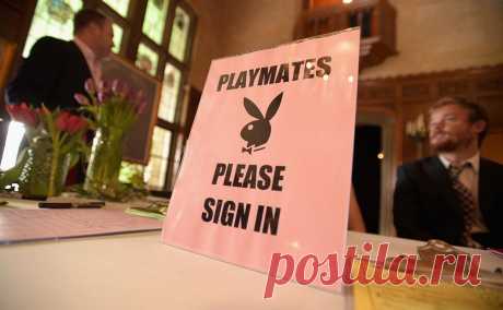Playboy возродился в цифре с похожей на OnlyFans монетизацией контента. Журнал ушел в онлайн и выступает как обложка цифровой платформы Playboy для создателей контента. Она работает по схеме OnlyFans — за эксклюзивный контент взимается плата. Однако в Playboy заверили, что порно там не будет
