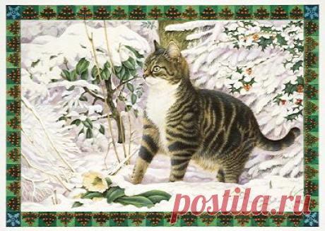лесли энн айвори meet my cats - Поиск в Google