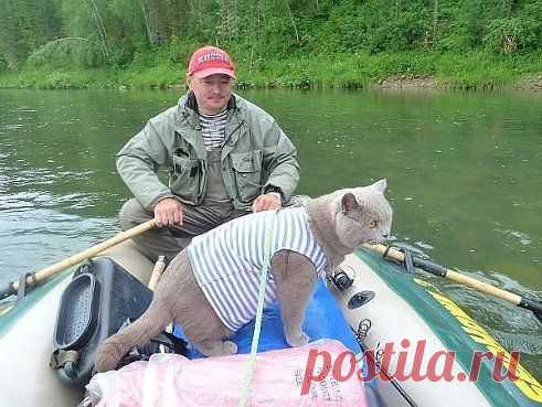 МАТРОСКИН В РЫБНАДЗОРЕ.