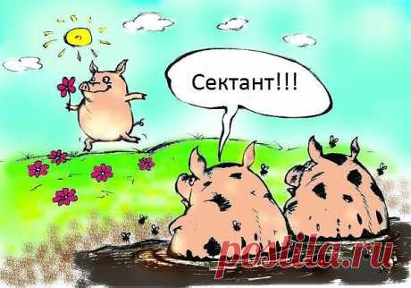 Дефицит доброты... (Ирина Самарина-Лабиринт) / Стихи.ру