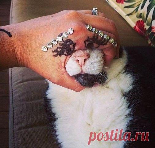 Мой хозяин идиот!