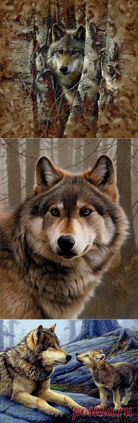 Люблю волков! Люблю их гордый нрав!