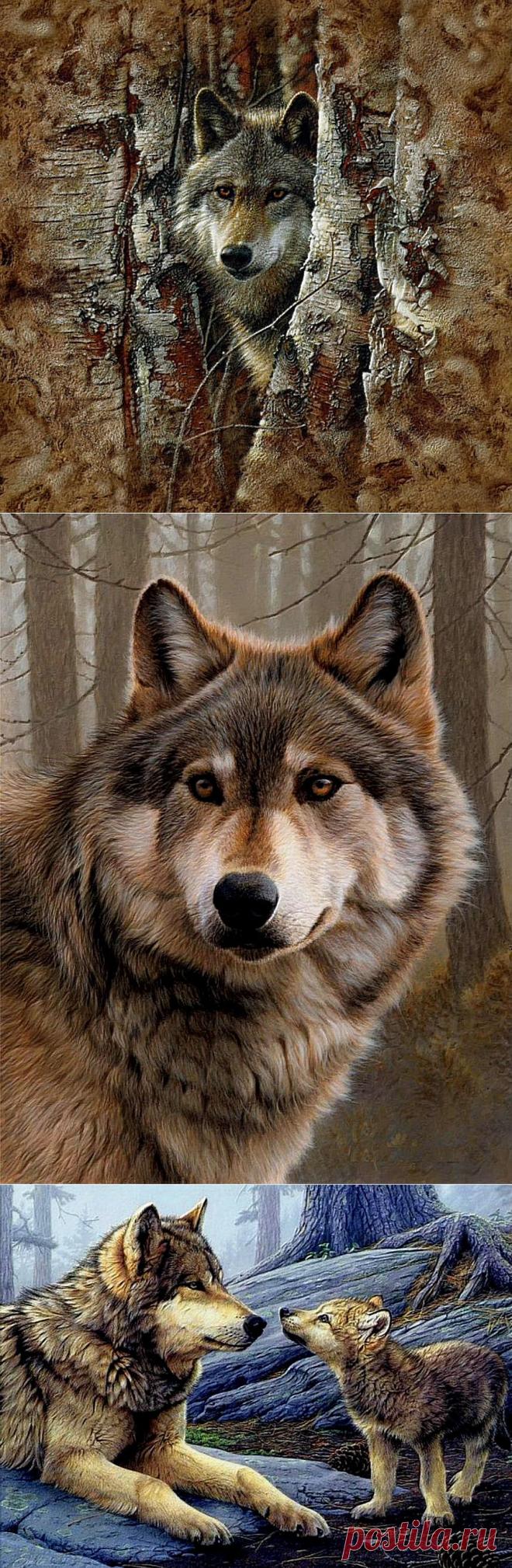 Люблю волков! Люблю их гордый нрав!