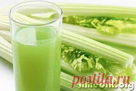 Сок сельдерея - состав и полезные свойства