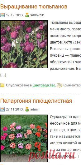 Цветоводство | Секреты сада