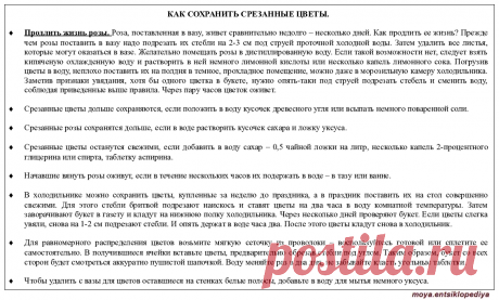Советы. Уход за срезанными цветами