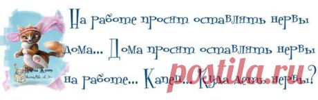Вредные фразы