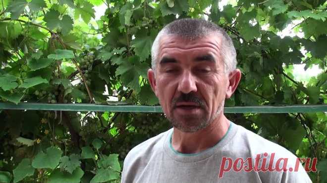 Секретная приманка для рыбалки.
