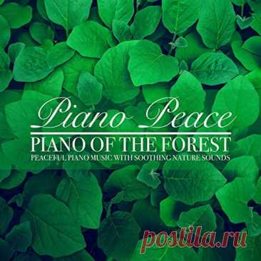 Piano Peace - Piano of the Forest (FLAC) Исполнитель: Various ArtistsНазвание: Piano Peace - Piano of the ForestДата релиза: 2021Жанр музыки: Instrumental, Piano, New AgeКоличество композиций: 20Формат: FLAC (tracks, cover)Качество: LosslessПродолжительность: 01:03:45Размер: 308 MB (+3%) TrackList:01. Morning Birds (3:13)02. Afternoon