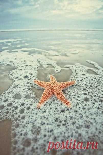 Алла Мякинчик