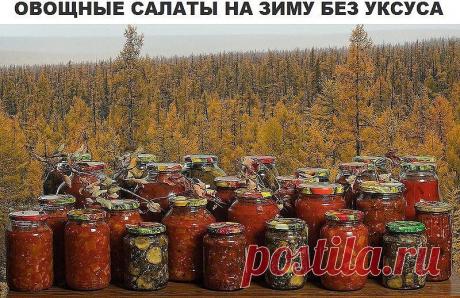 (26) Одноклассники