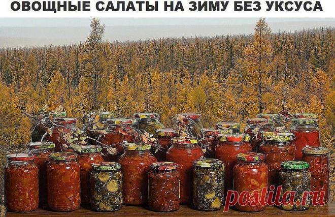 (26) Одноклассники