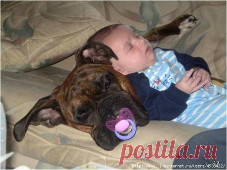 Замечательные няни!