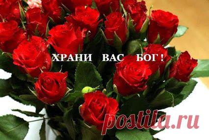 Не замечаем СЧАСТЬЯ иногда: Живём, и осознать, увы, не в силах, Что если в двери не стучит беда, 
То значит СЧАСТЬЕ в доме том гостило... В клубочек будней сматывая нить, Порою очень поздно понимаем, Что наше СЧАСТЬЕ учимся ценить Нередко лишь тогда, когда теряем...﻿