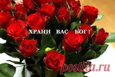 Не замечаем СЧАСТЬЯ иногда: Живём, и осознать, увы, не в силах, Что если в двери не стучит беда, 
То значит СЧАСТЬЕ в доме том гостило... В клубочек будней сматывая нить, Порою очень поздно понимаем, Что наше СЧАСТЬЕ учимся ценить Нередко лишь тогда, когда теряем...﻿