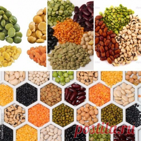 Бобовые — продукт для тех, кто хочет похудеть