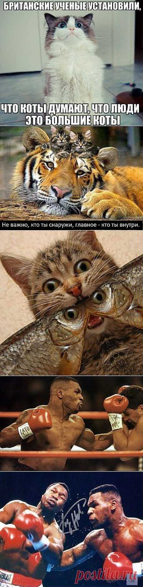Новости