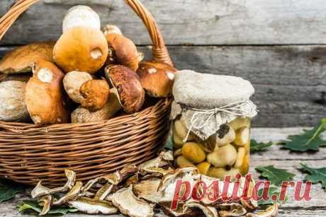 Как хранить заготовки на зиму | Edimdoma.ru Пульс Mail.ru