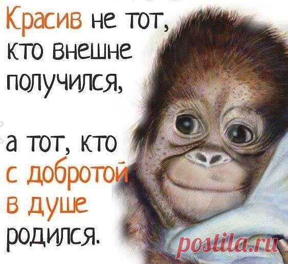 ツ ツ ツ