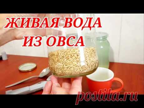 Что делает ложка овса с водой. Водородная вода своими руками.