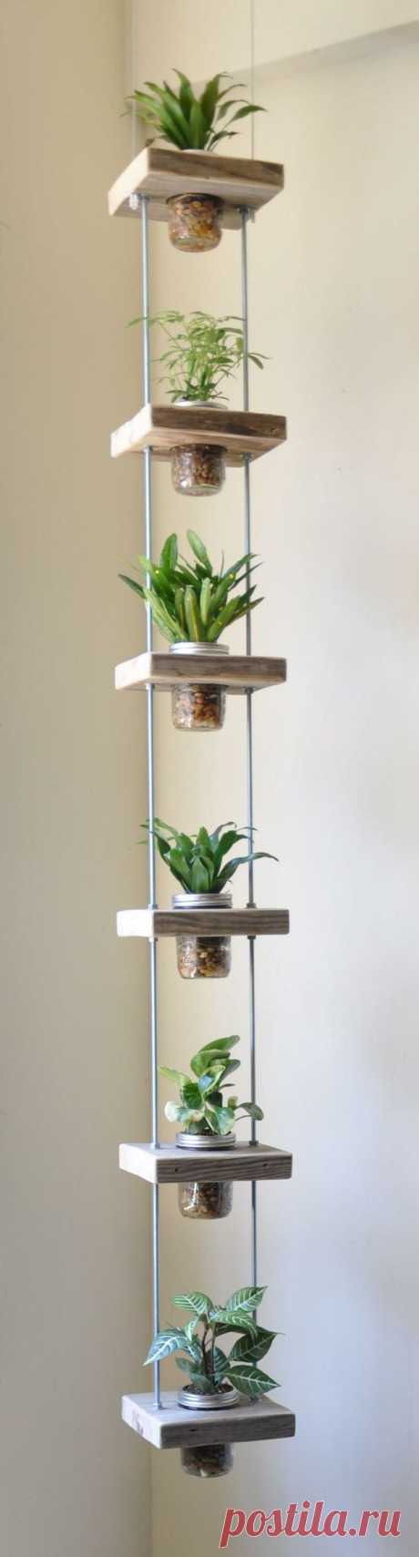 Creative Indoor Vertical Wall Gardens – Decorating Your Small Space