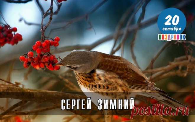 Новости