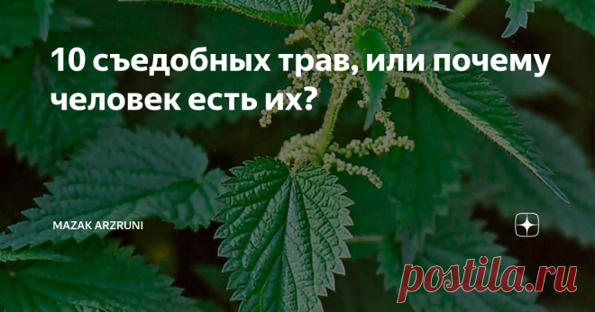 10 съедобных трав, или почему человек есть их? Сколько помнит себя человек, то непременной спутницей в пище была трава. То что едят животные, в основном не пригодны для человека, но есть такие, которые и человек и жвачные едят. Учёные выяснили, что съедобные травы очень полезны для человека. В них содержатся витамины и много полезного для нормального функционирования человеческого организма. Человечество более 3000 лет использует разные травы. Некоторые из них окультирован...