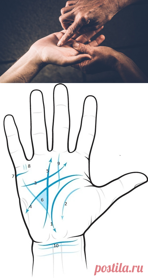 Хиромантия для начинающих: 10 главных линий на руке и их значение