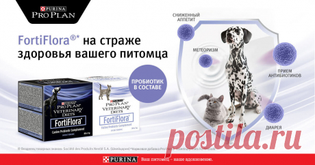 Пробиотик для кошек и собак FortiFlora от Pro Plan - ProPlan.ru FortiFlora от Pro Plan для восстановления микрофлоры кишечника вашего питомца. Кормовая добавка Pro Plan FortiFlora разработан специально для кошек и собак любого возраста.