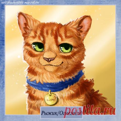 Rusty/Firestar. Warriors by Romashik-arts on DeviantArt