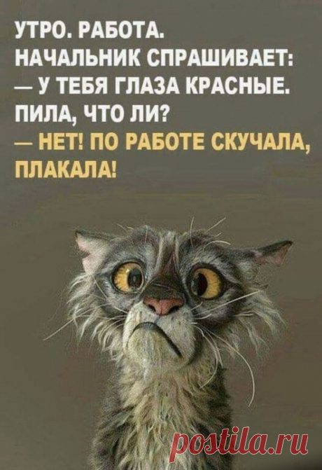 Прикольные картинки с надписями ржачные для поднятия настроения (35 фото)