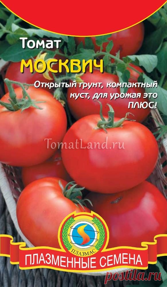 Томаты москвич описание сорта Огород без хлопот - информационный сайт для дачников, садоводов и огородников.