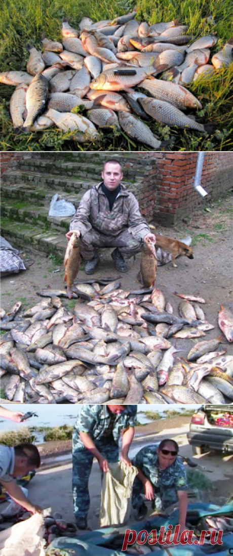 Рыбнадзор. Новости Рыбного Хозяйства РФ