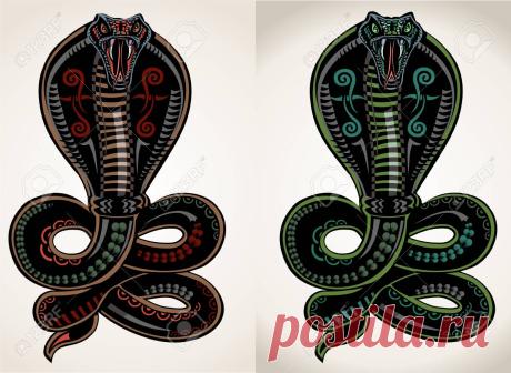 102428236-snake-tattoo-cobra.jpg (1300×949)